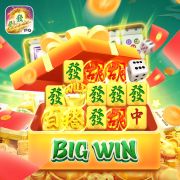 Q9bet vip