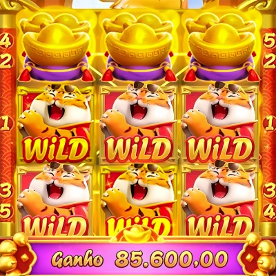 Timbet com