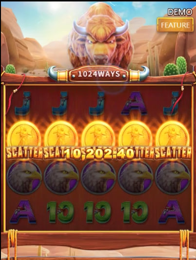D9bet com
