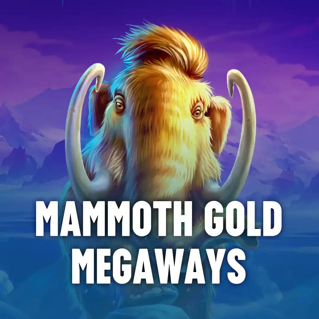 X1bet login